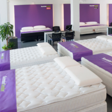 Bienvenido SOMMIER CENTER a la Guía de Franquicias
